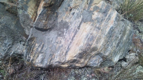 Гигантские зелёные валуны для ландшафтного дизайна весом более 5 тонн купить в Верхней Туре