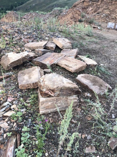 Плитняк кора дерева 50-100мм для пошаговых дорожек купить в Верхней Туре